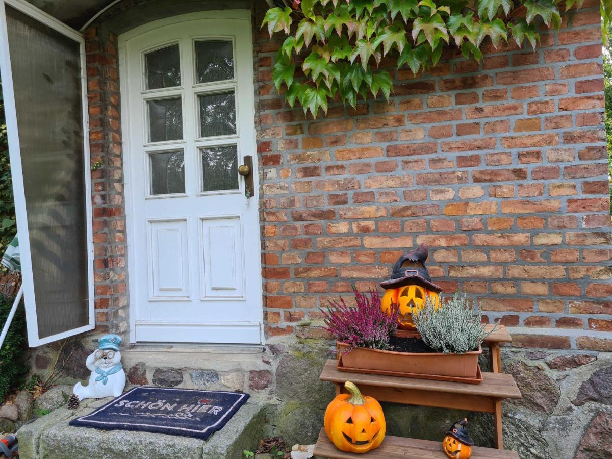 Ferienhaus Ivys Hope - Housity