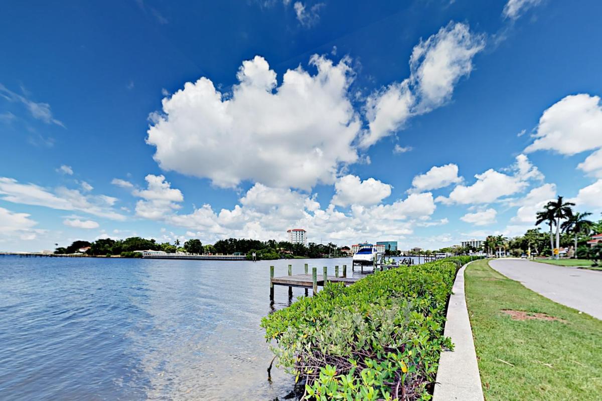 Doplin Paradise - Housity