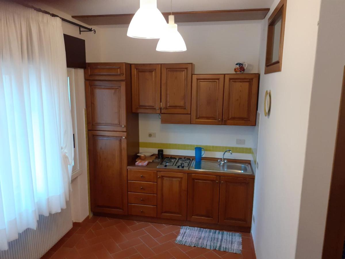 La Residenza di fronte all'Ospedale di Vittorio Veneto via Linneo - Housity
