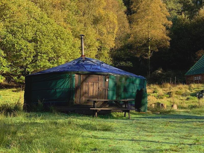 Yurt 1 - Housity
