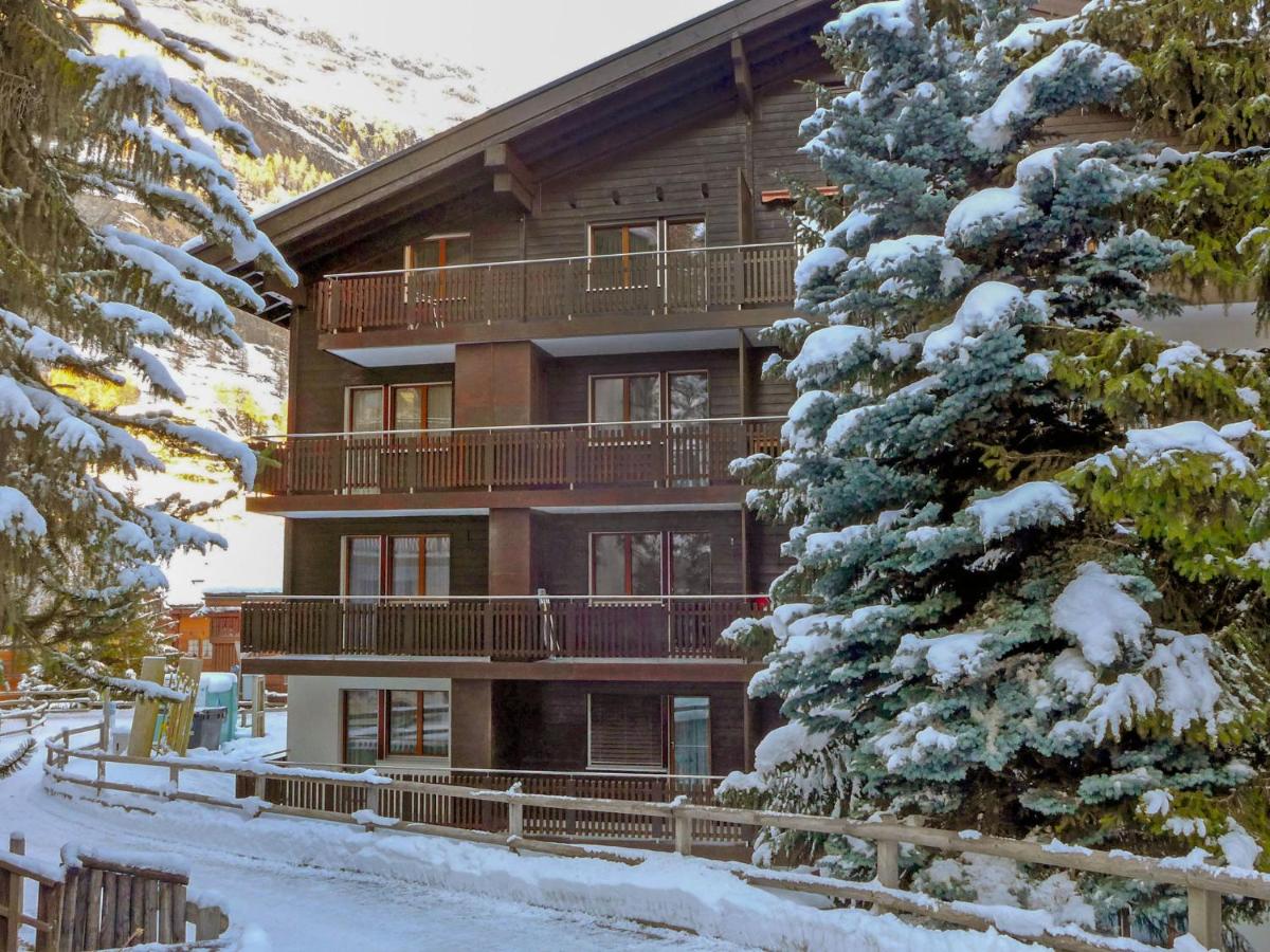 Studio Sungold-4 - Housity