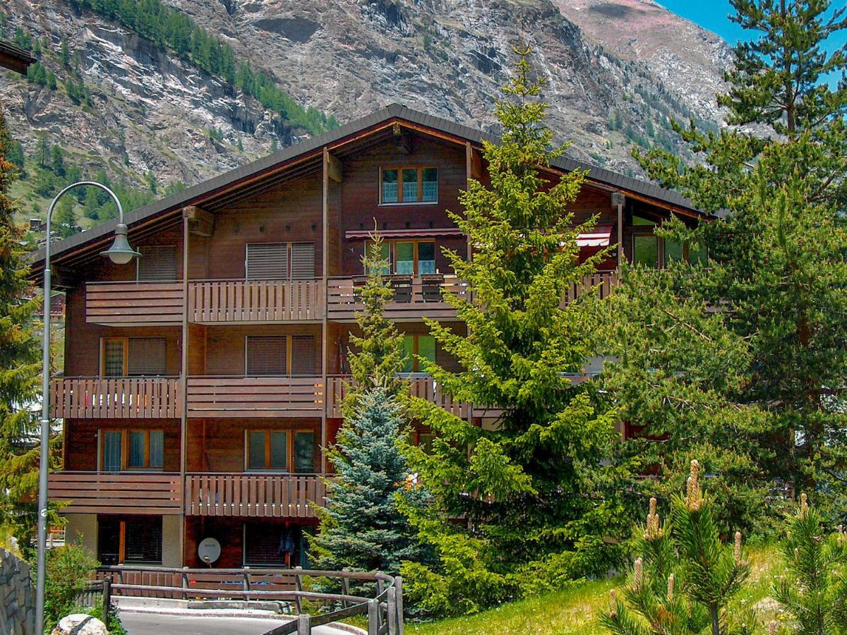 Studio Sungold-4 - Housity