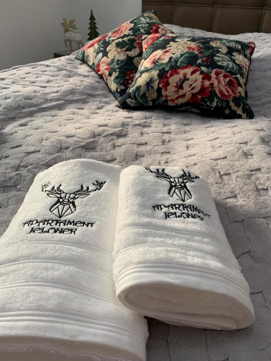 Apartament Jelonek w Karkonoszach - Housity