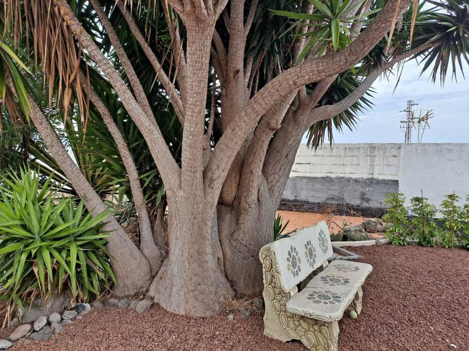 Tenerife Apartment Dulcynea with terrace and garden 600m2 with ocean and Teide view - Housity