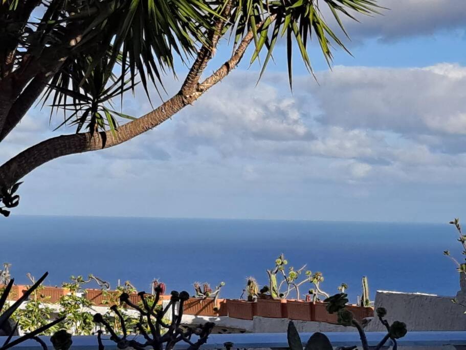 Tenerife Apartment Dulcynea with terrace and garden 600m2 with ocean and Teide view - Housity