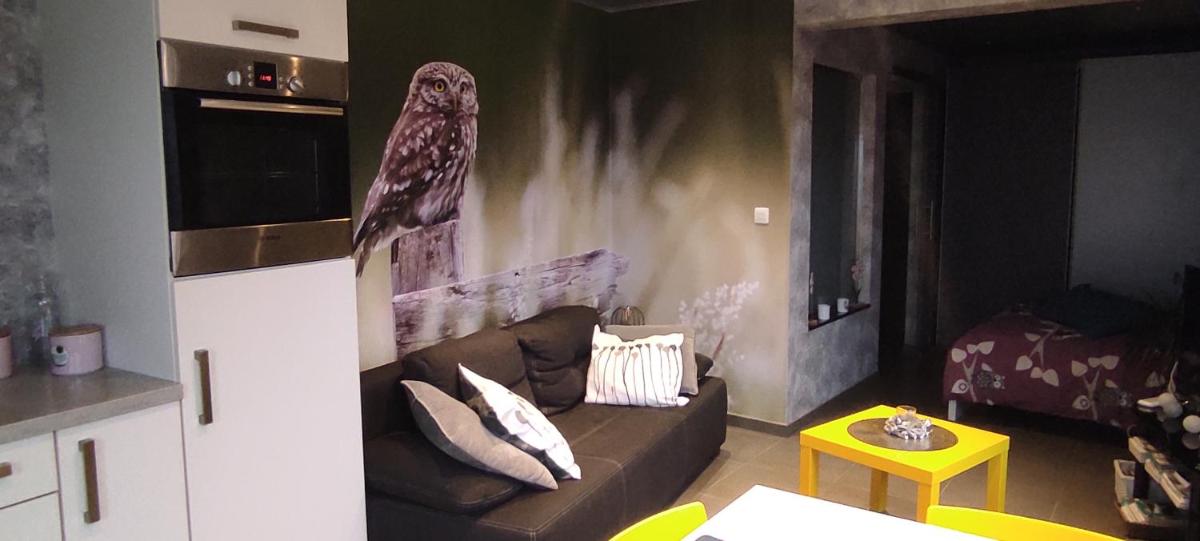 Studio gîte Eul Cat Huant - Housity