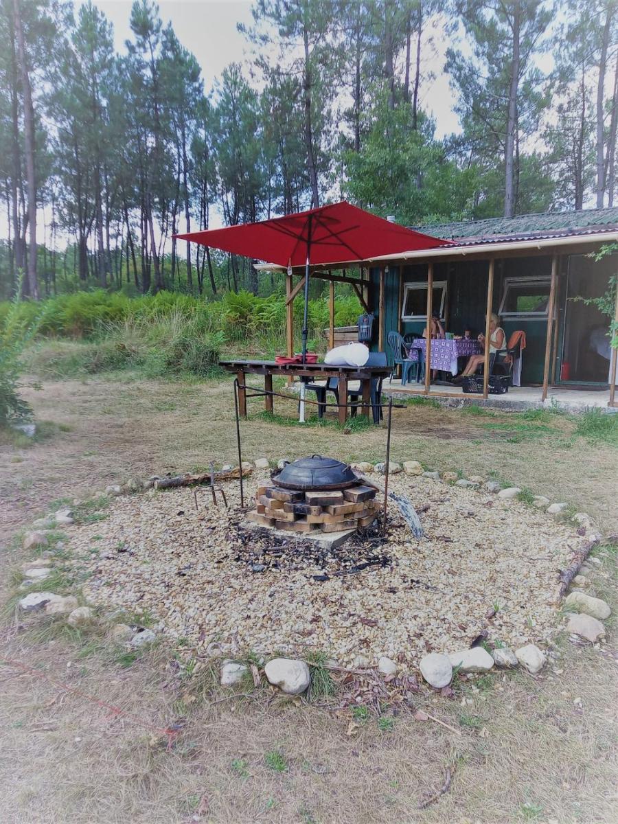 Cuckoo Lake Forest Cabin - Housity
