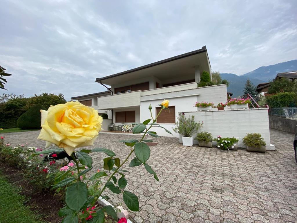 Residenza Bertolini - Housity