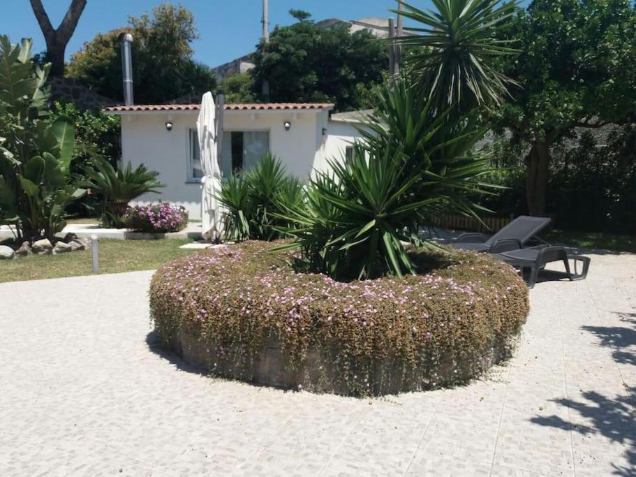 Casa Vacanza M&C Ischia - Housity
