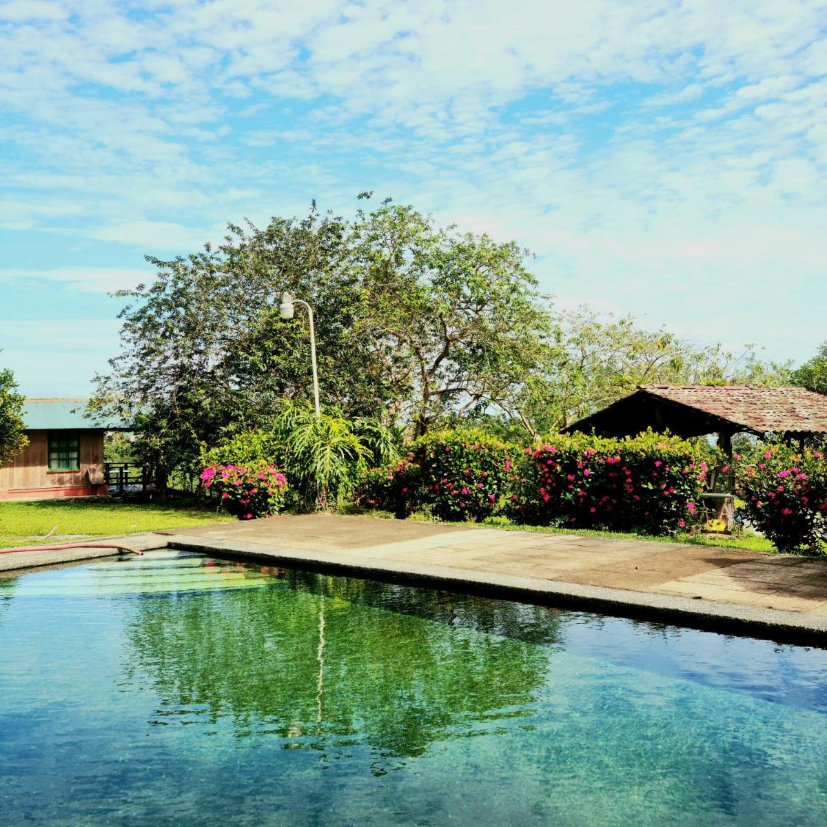 Los Gallitos Eco Lodge - Housity