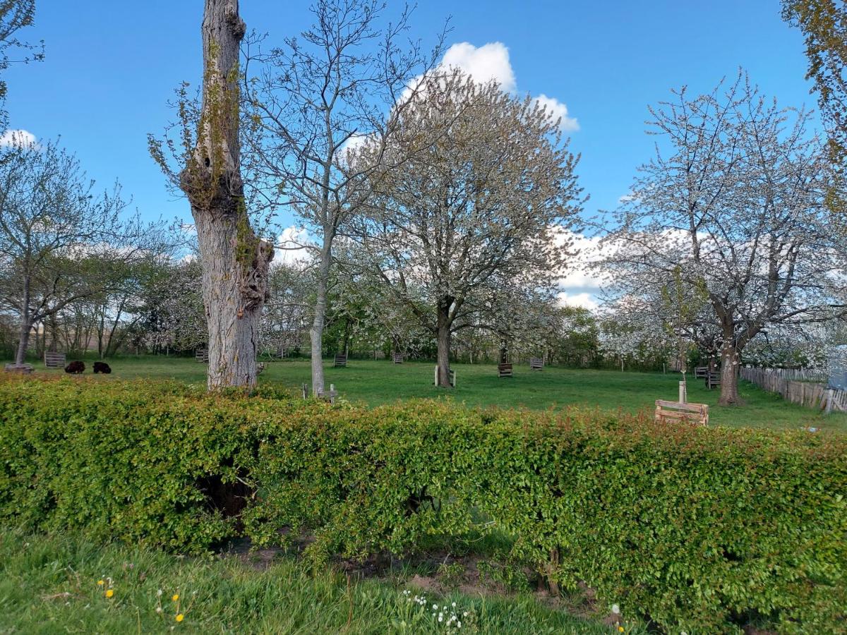 Bij grenspaal 243 - Housity