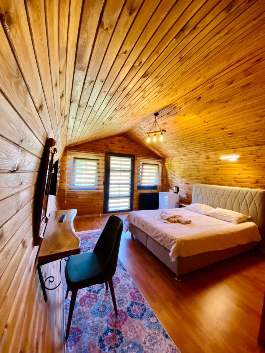 Remarkable Hobbit House Surrounded by Nature in Karamursel, Kocaeli - Housity