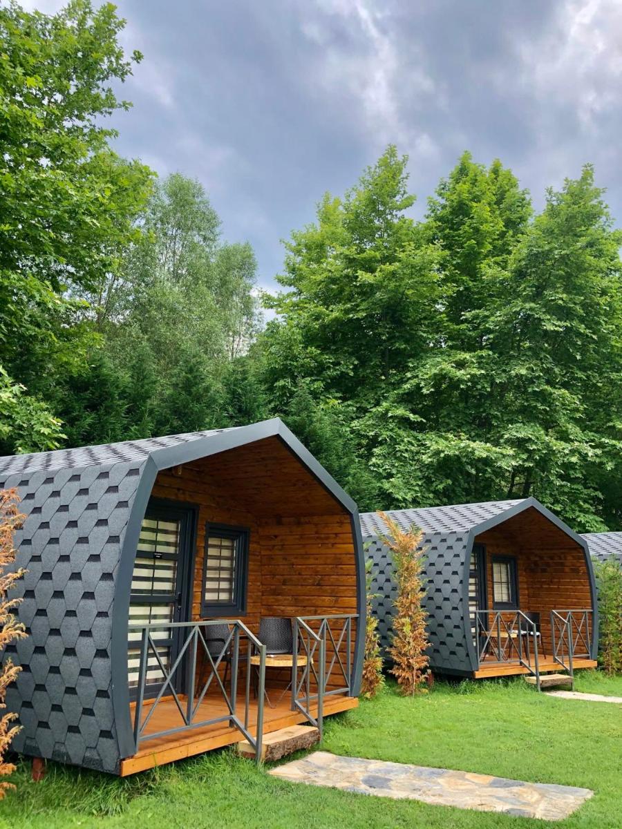 Remarkable Hobbit House Surrounded by Nature in Karamursel, Kocaeli - Housity