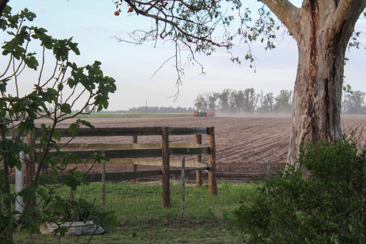 El Viejo Roble - Housity