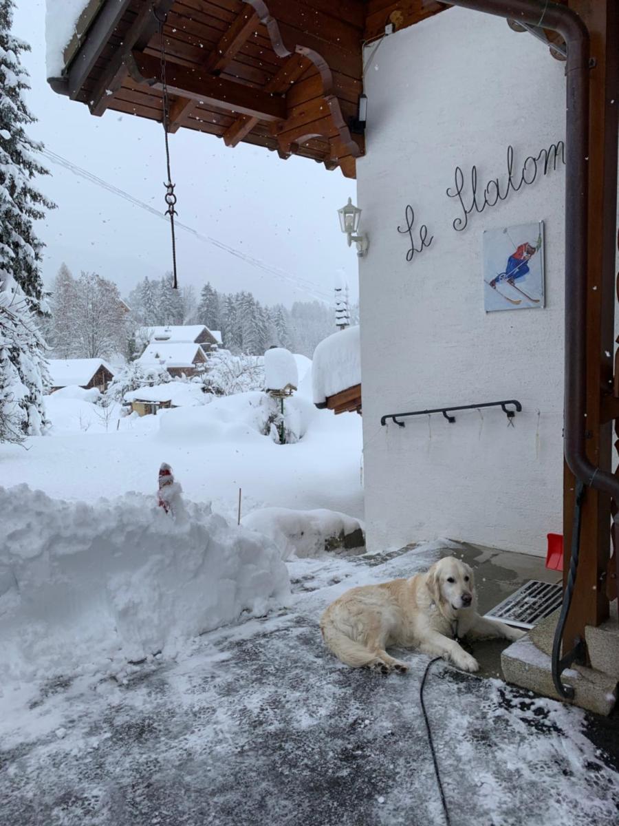 Chalet Le Slalom - Housity
