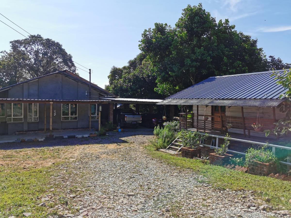 Suitetrails - Cassava Homestay - Rumah Gallery