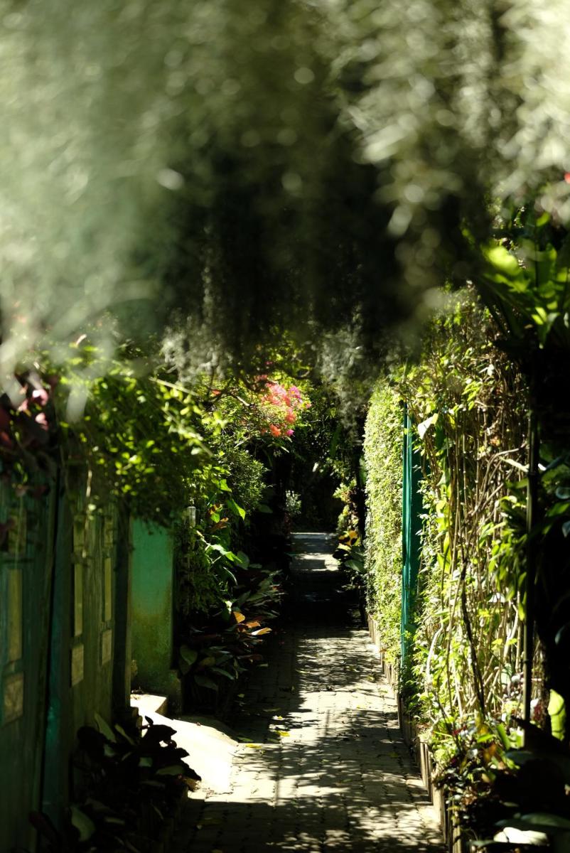 Hidden Garden in Ubud City Center w/ 2 Separate BR - Housity