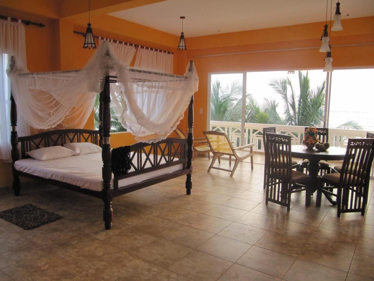 The Blue Pearl - Housity