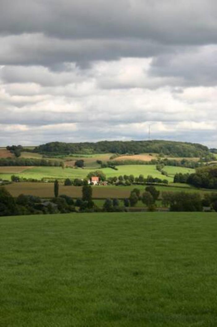 The Dutch Hills - Housity