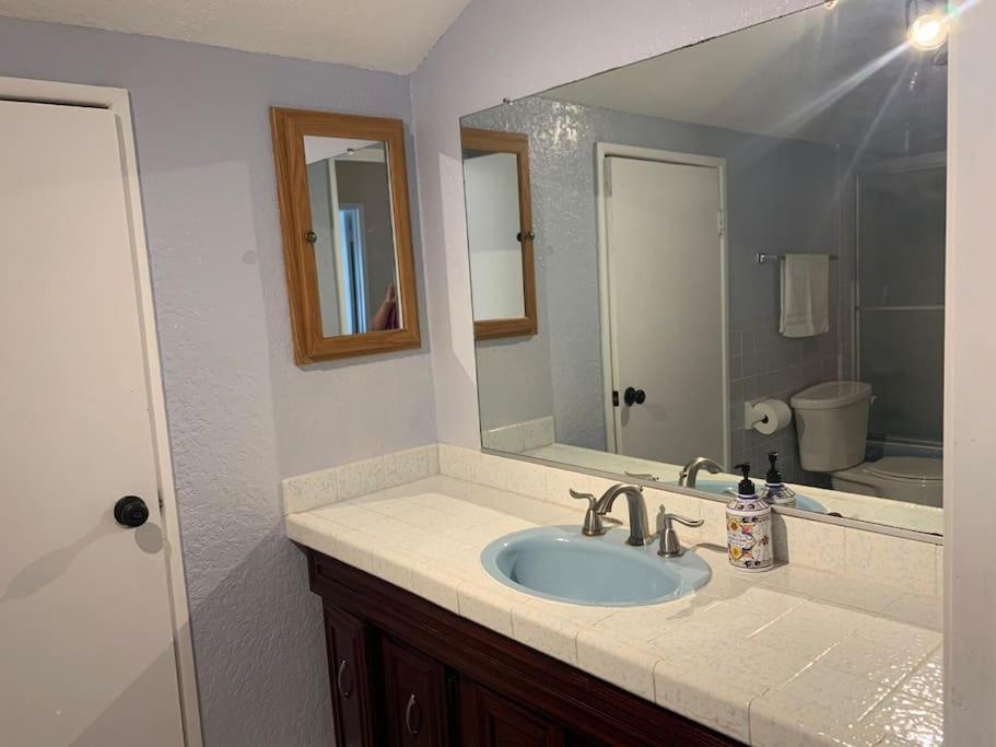 Estate home with huge pool(new listing) - Housity