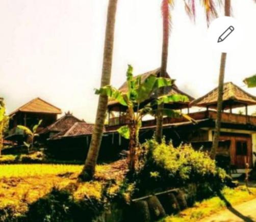 Pondok Diana - Housity