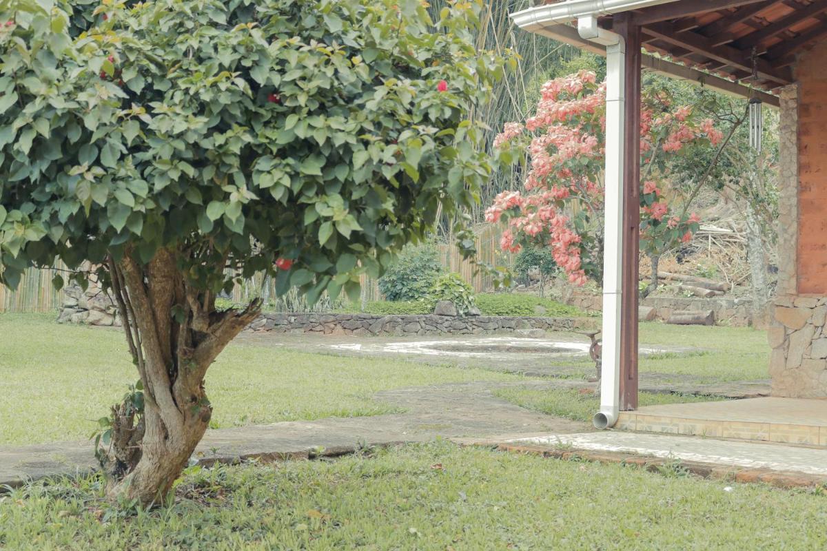 Em tiradentes, Minas Gerais, CASA TÍPICA E ESPAÇOSA EM TERRENO ARBORIZADO - Housity