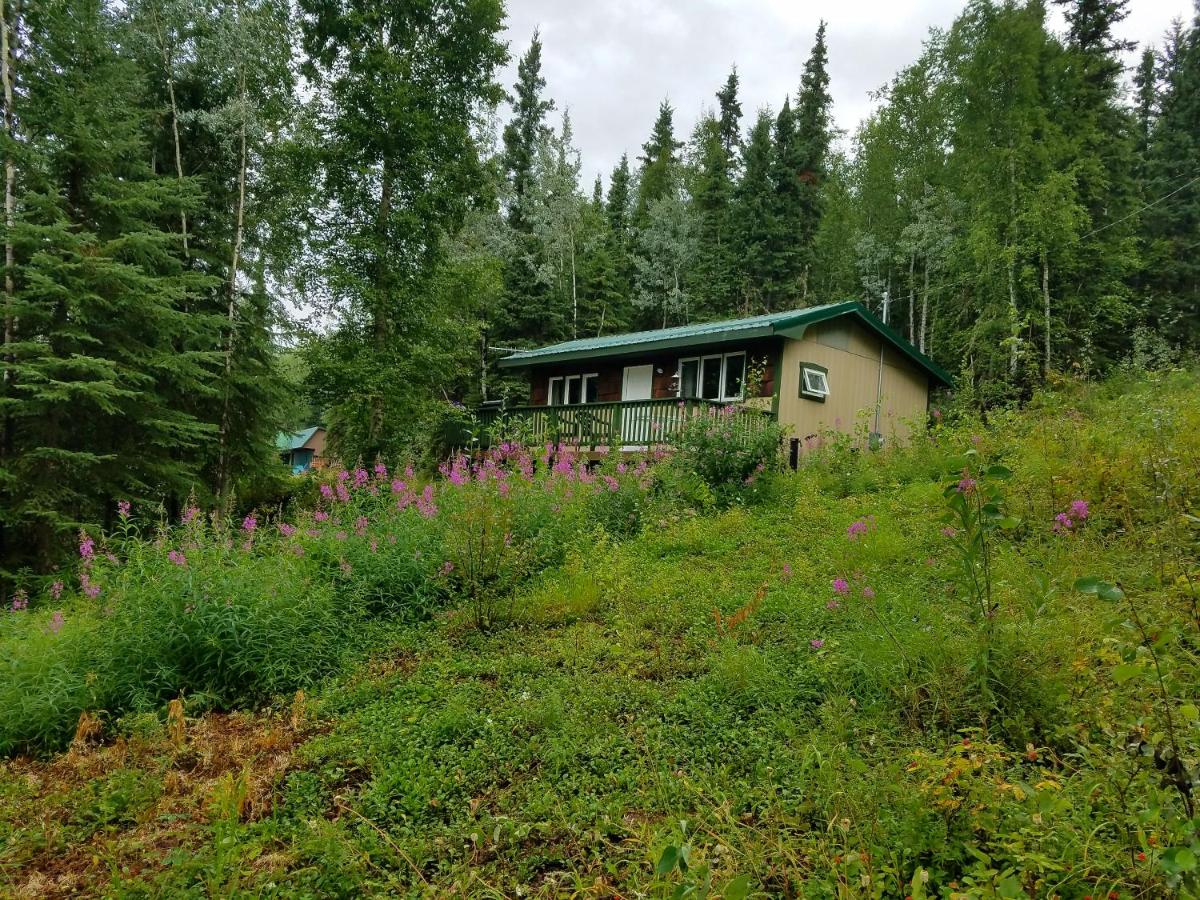 Northwoods Cottage Bed and Breakfast - Housity