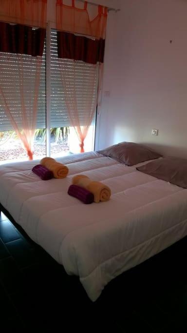 villa 15 personnes avec piscine et terrain de pétanque - Housity