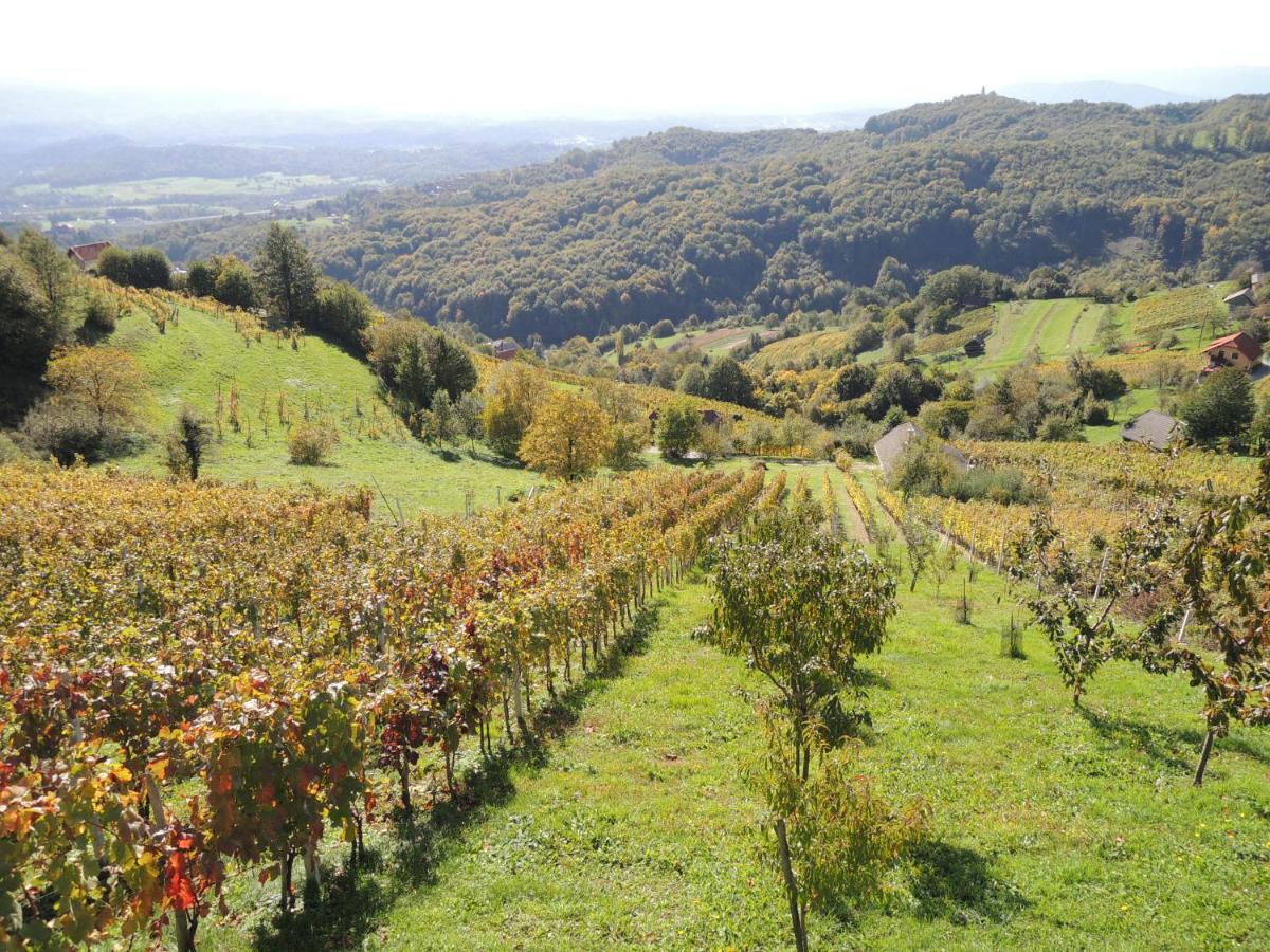 Vineyard Cottage Janko & Metka - Housity