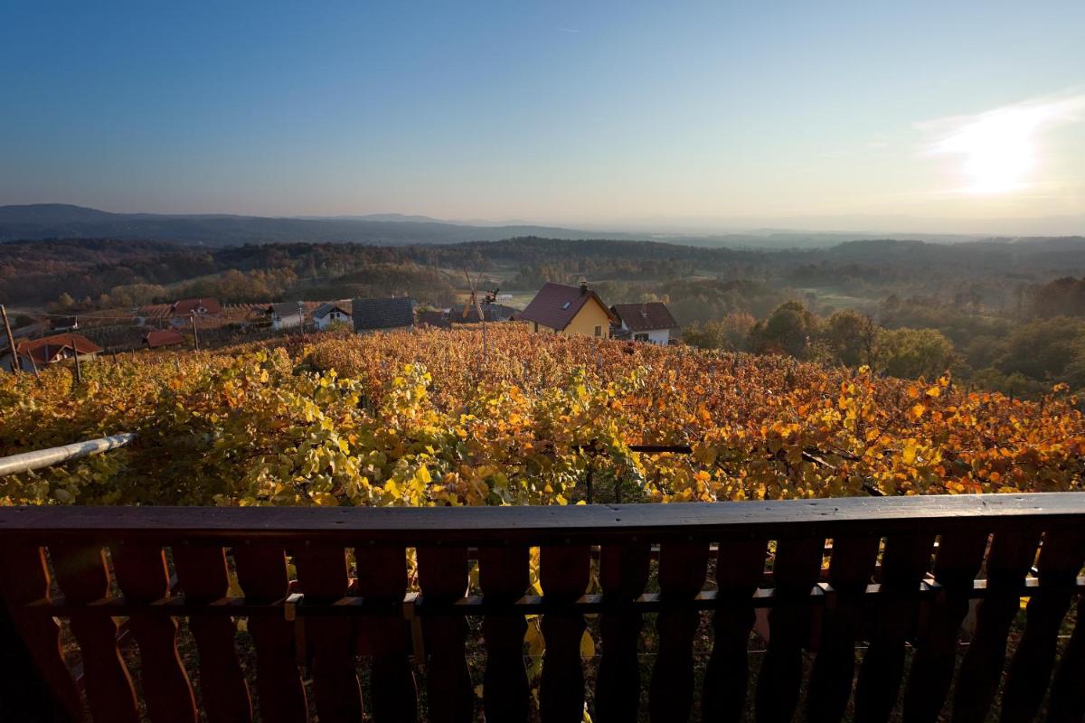 Vineyard Cottage Brodaric - Housity