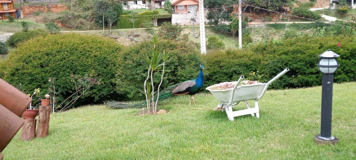 Chalé Bela Isa - Housity