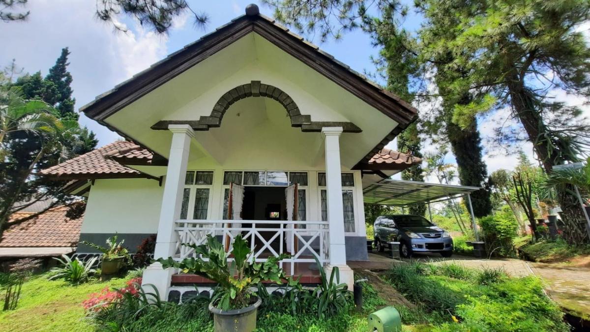 Villa Denisa - Housity