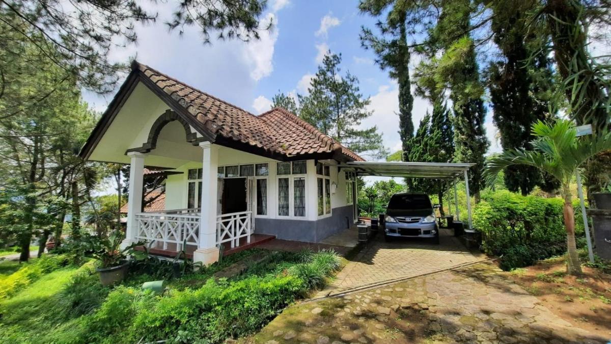 Villa Denisa - Housity