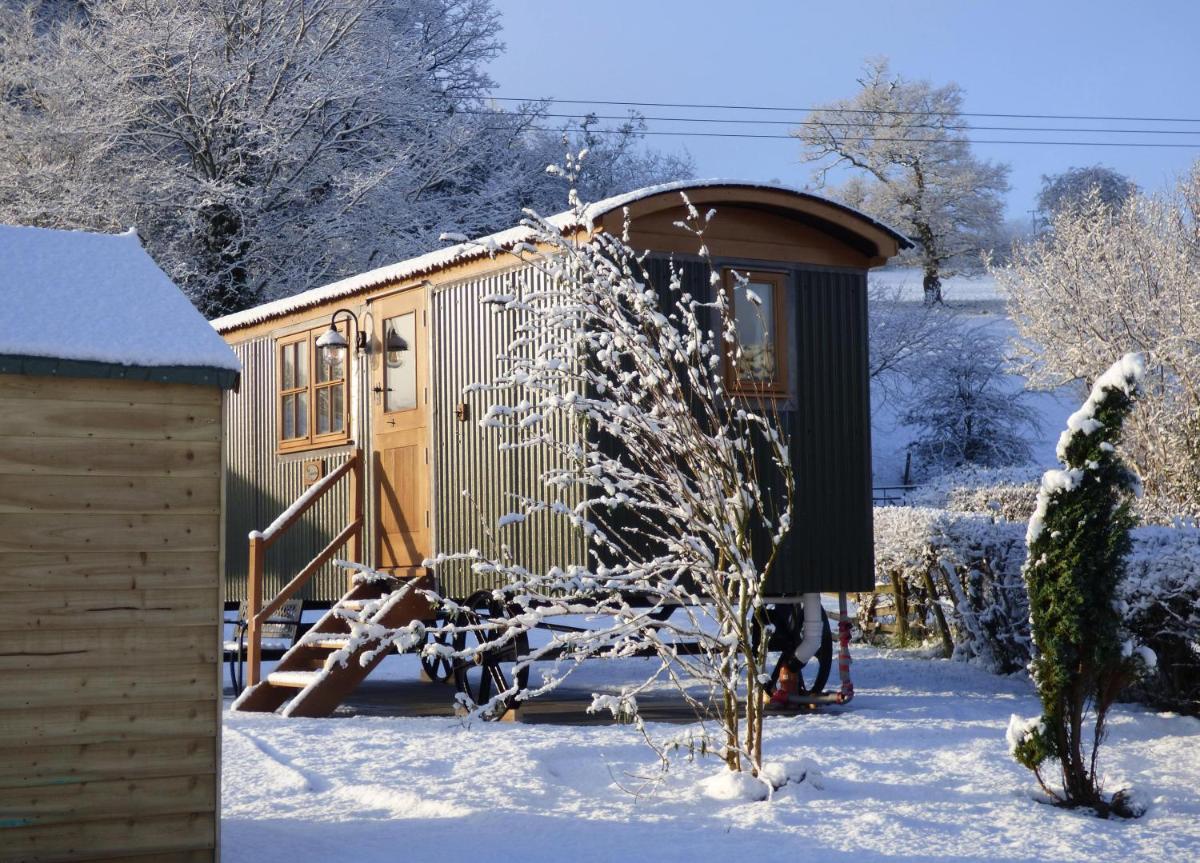 Woody's Retreat - Housity