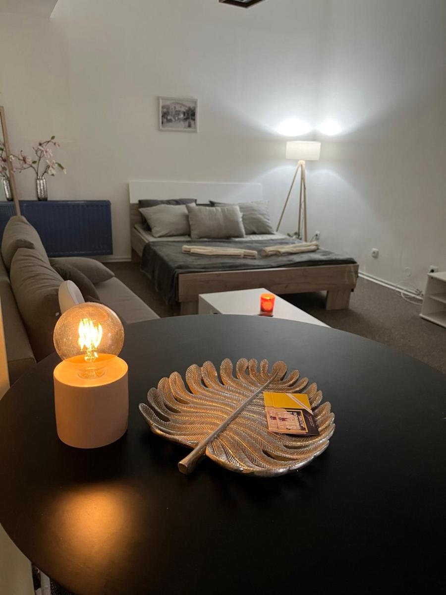 Stari Zaječar apartments - Hizvo