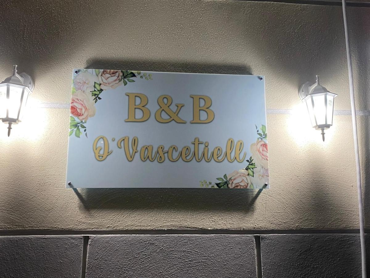 O Vascetiello - Housity