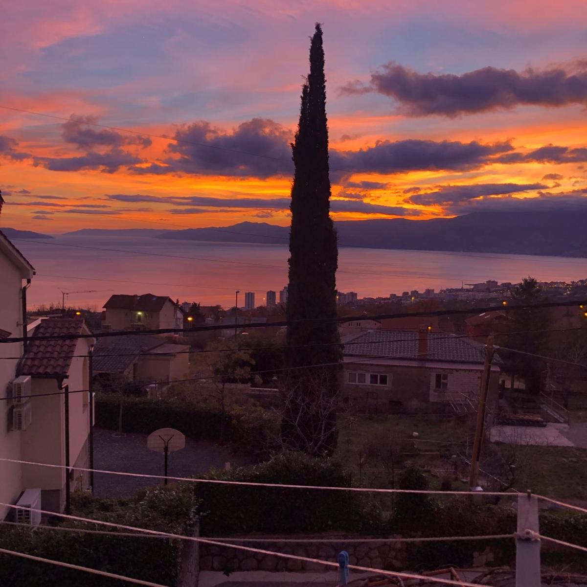 Studio apartment Milla - Housity
