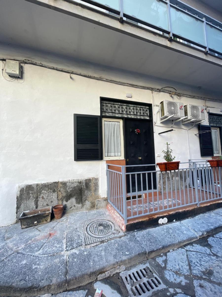 House Irene - Housity
