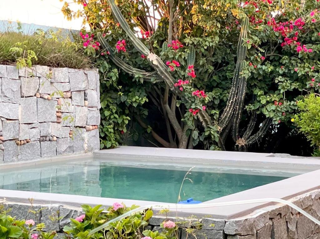 La Comarca del Mono - Housity