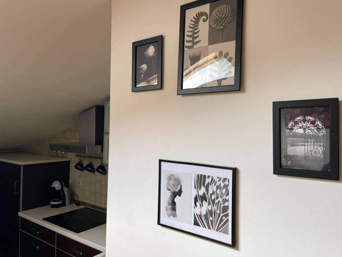 Apartament Studio Nałęczów - Housity