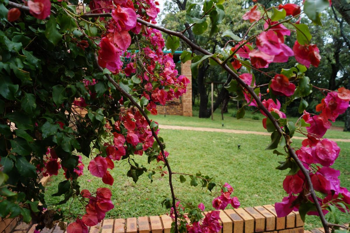 Farm house to rent for the weekend - Housity