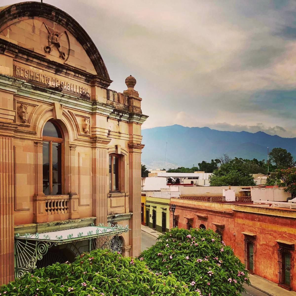 Beautiful apartment in Oaxaca City's BEST location - Housity