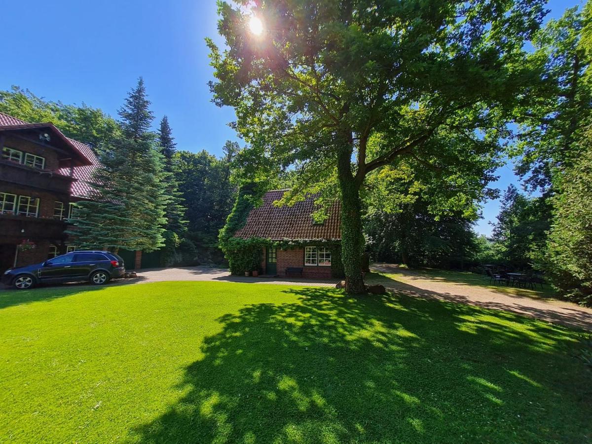 4 Sterne-Haus am See - Housity