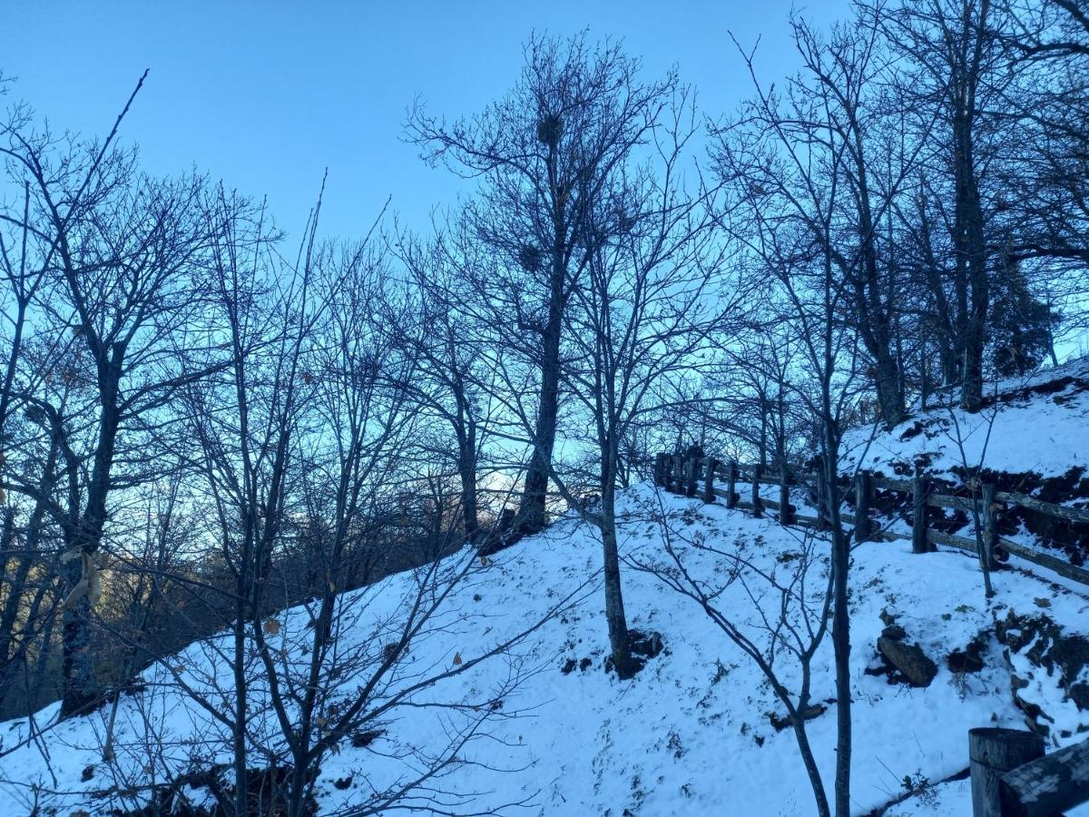 B&B COLLE ANGARO-AZIENDA AGRITURISTICA - Housity