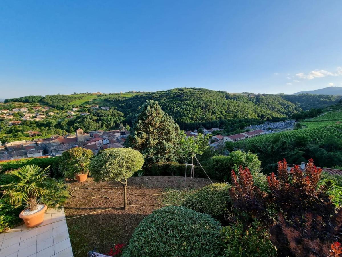 Wine Passion Panoramic - Housity