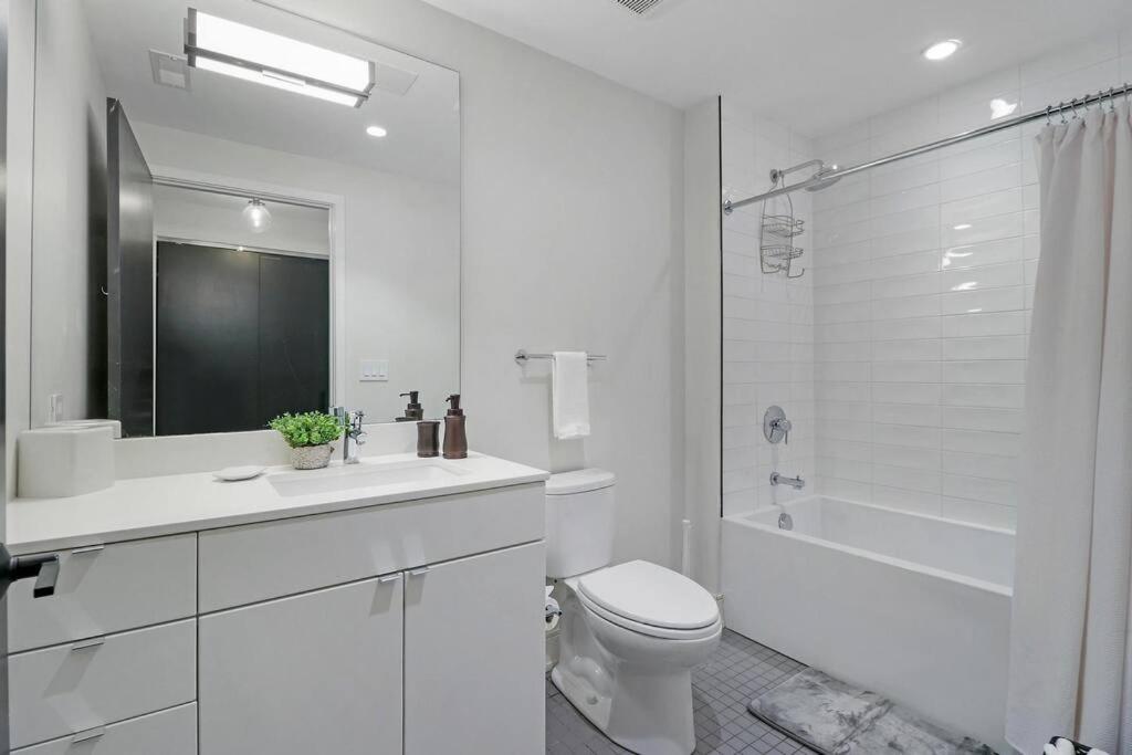 DECOM - Delightful 1BR & 1BA Apartment in Belmont - Belmont 202 - Housity
