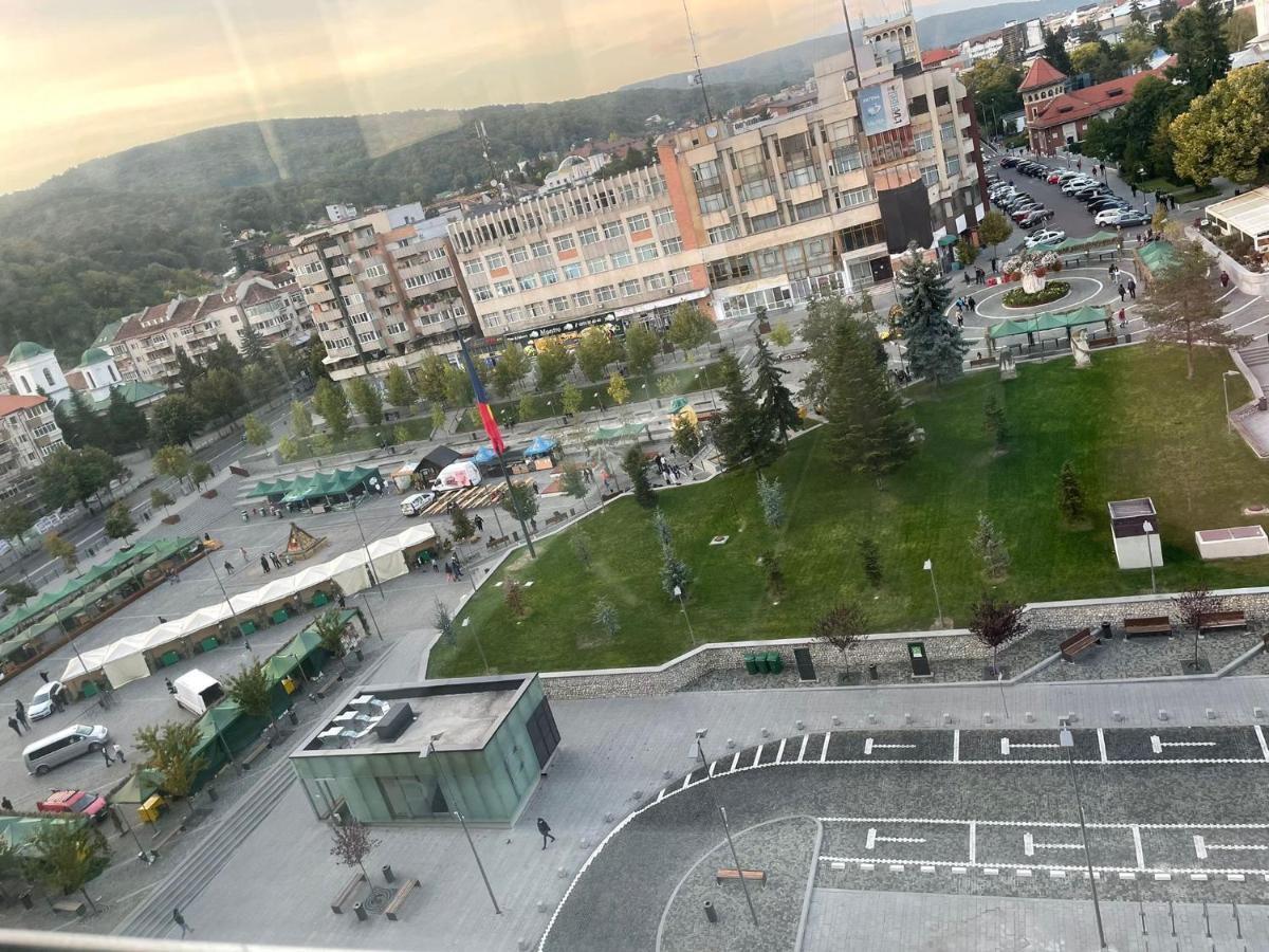 sophie apartments - Housity