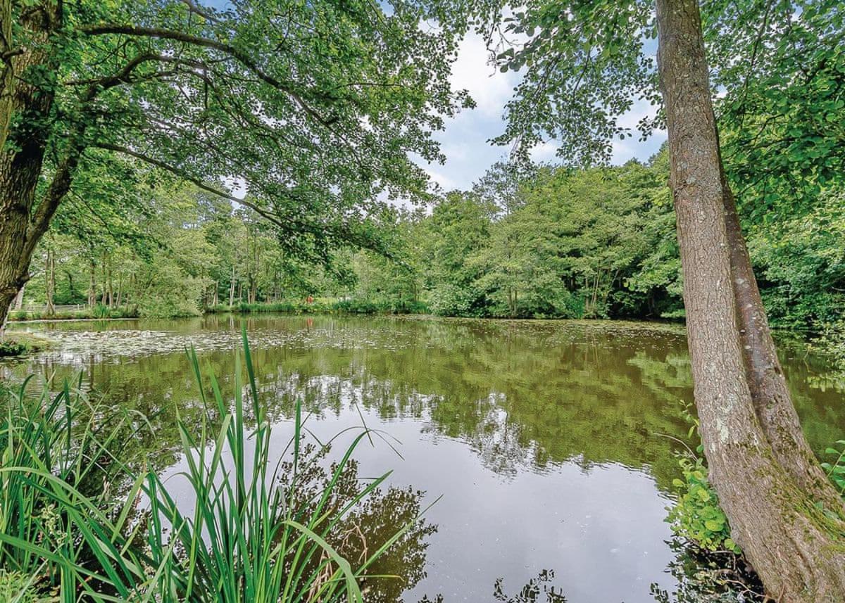 Warren Wood Country Park - Housity
