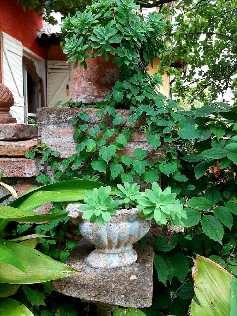 Casa Morelli - Housity