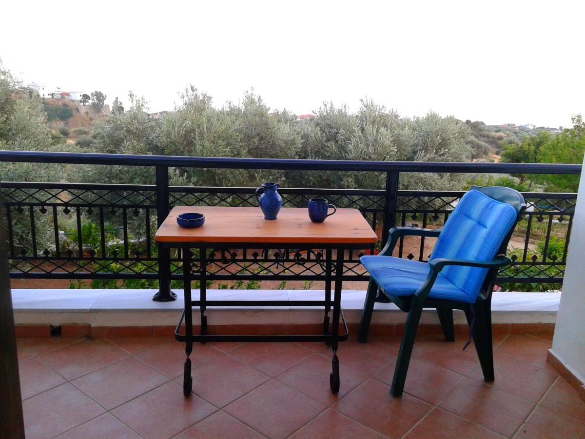 Daphne Studios - Housity